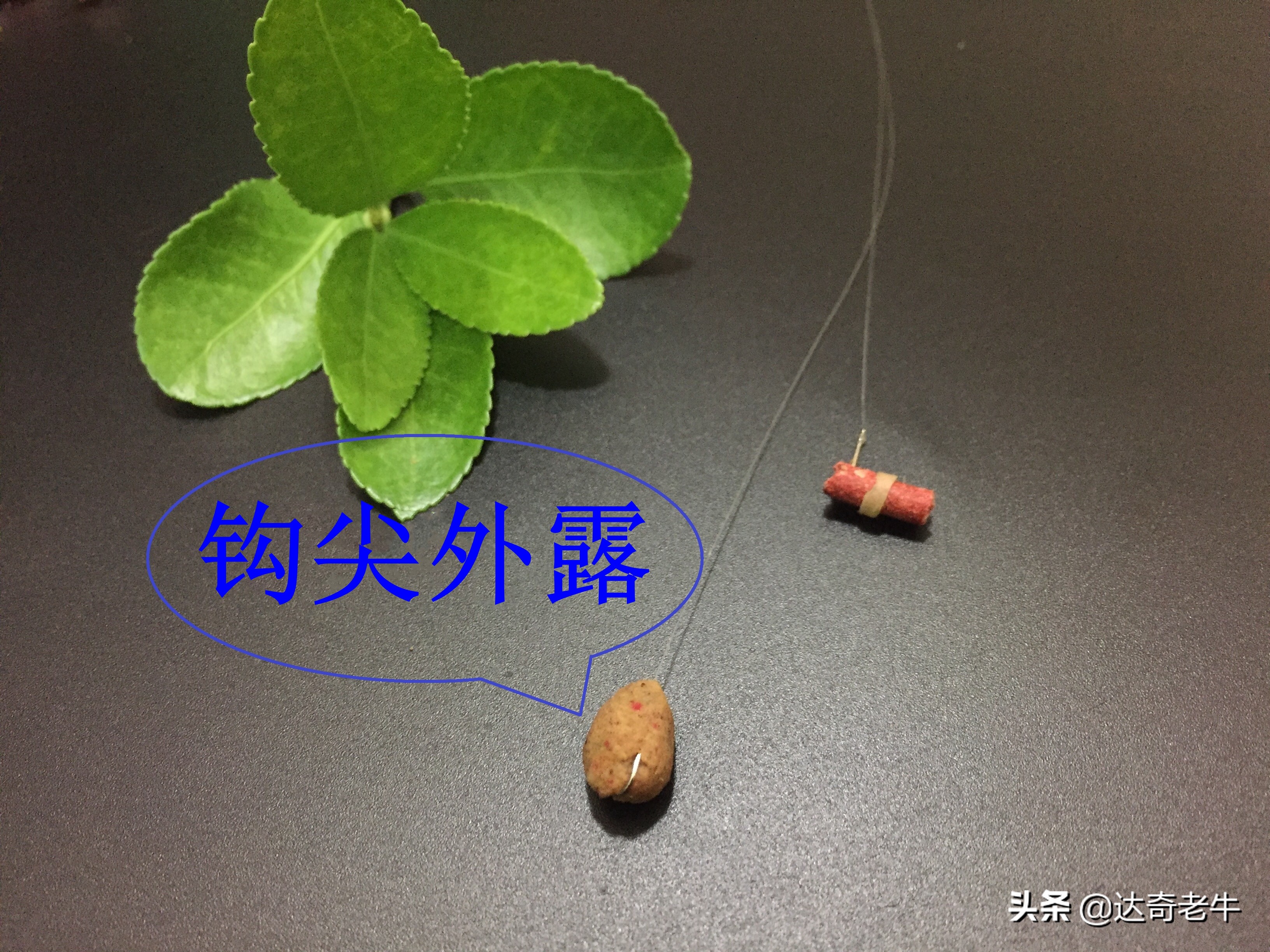 鱼钩越小越好钓鱼,鱼钩越小就越能钓鱼吗