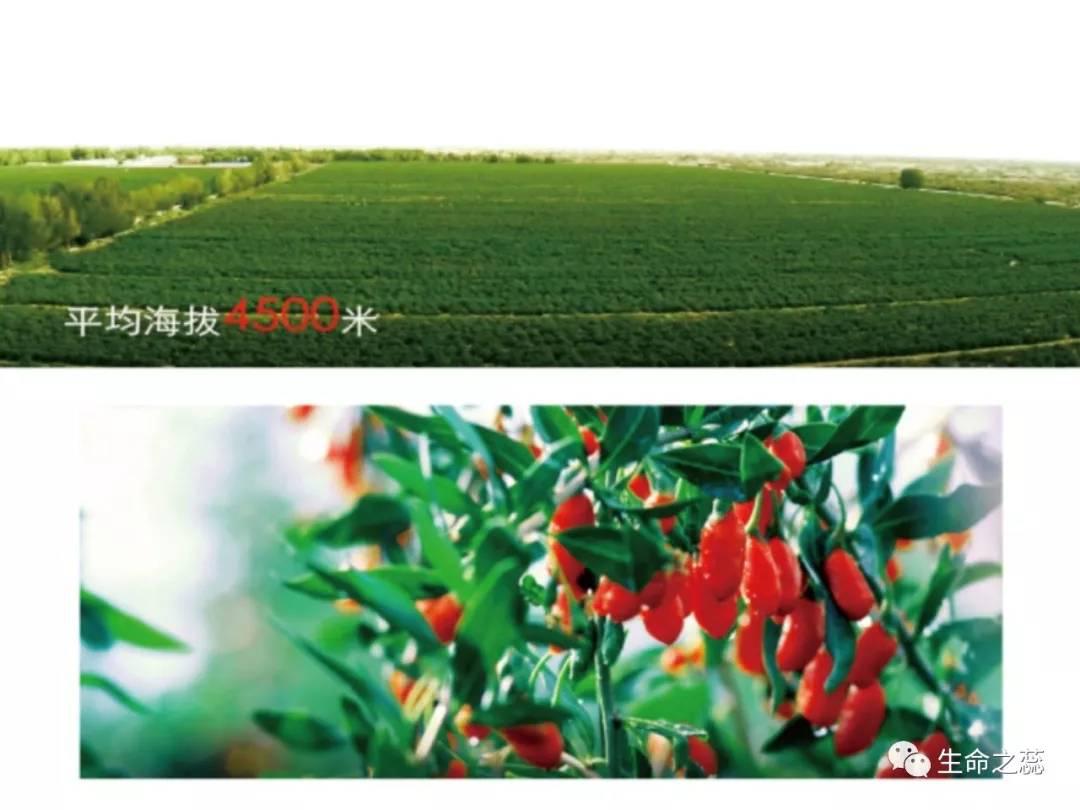 男人强肾,男人补肾女人养颜