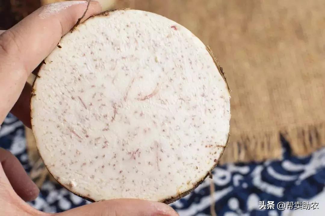 香甜软糯好吃到停不下来芋泥控,粉糯香甜的芋头