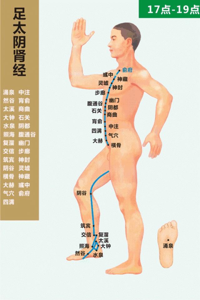 偏头痛头皮痛耳根痛是怎么回事,前额痛头顶痛后脑勺痛是什么原因