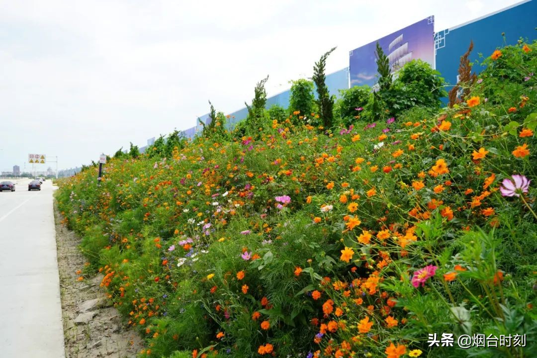 兰州民生工程最新进展,重点民生项目进展清单