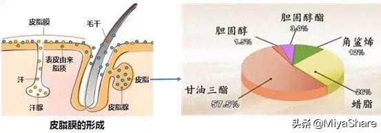 外油内干严重如何给肌肤快速补水,皮肤干怎么保持水油平衡