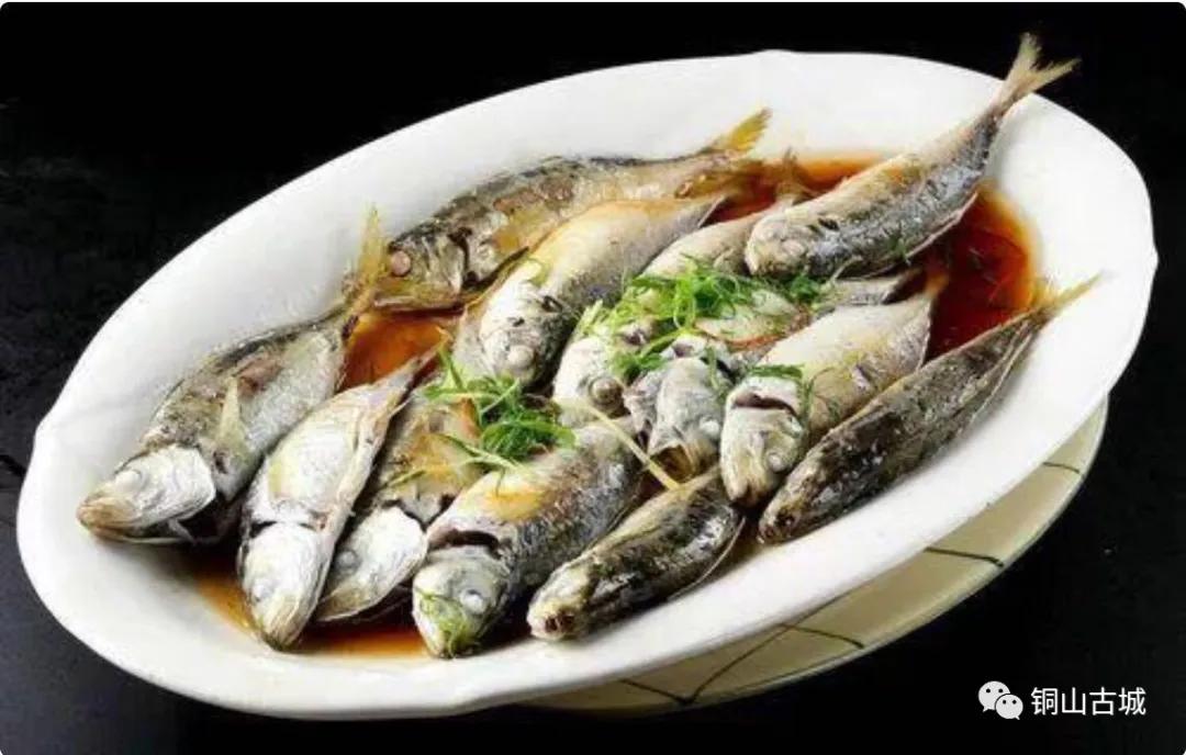 东山县巴浪鱼,东山巴浪鱼为什么比野生的贵