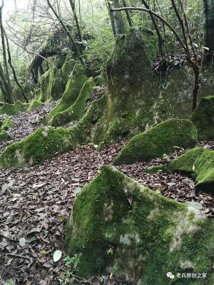 四川四大历史名山华蓥山,华蓥山名山