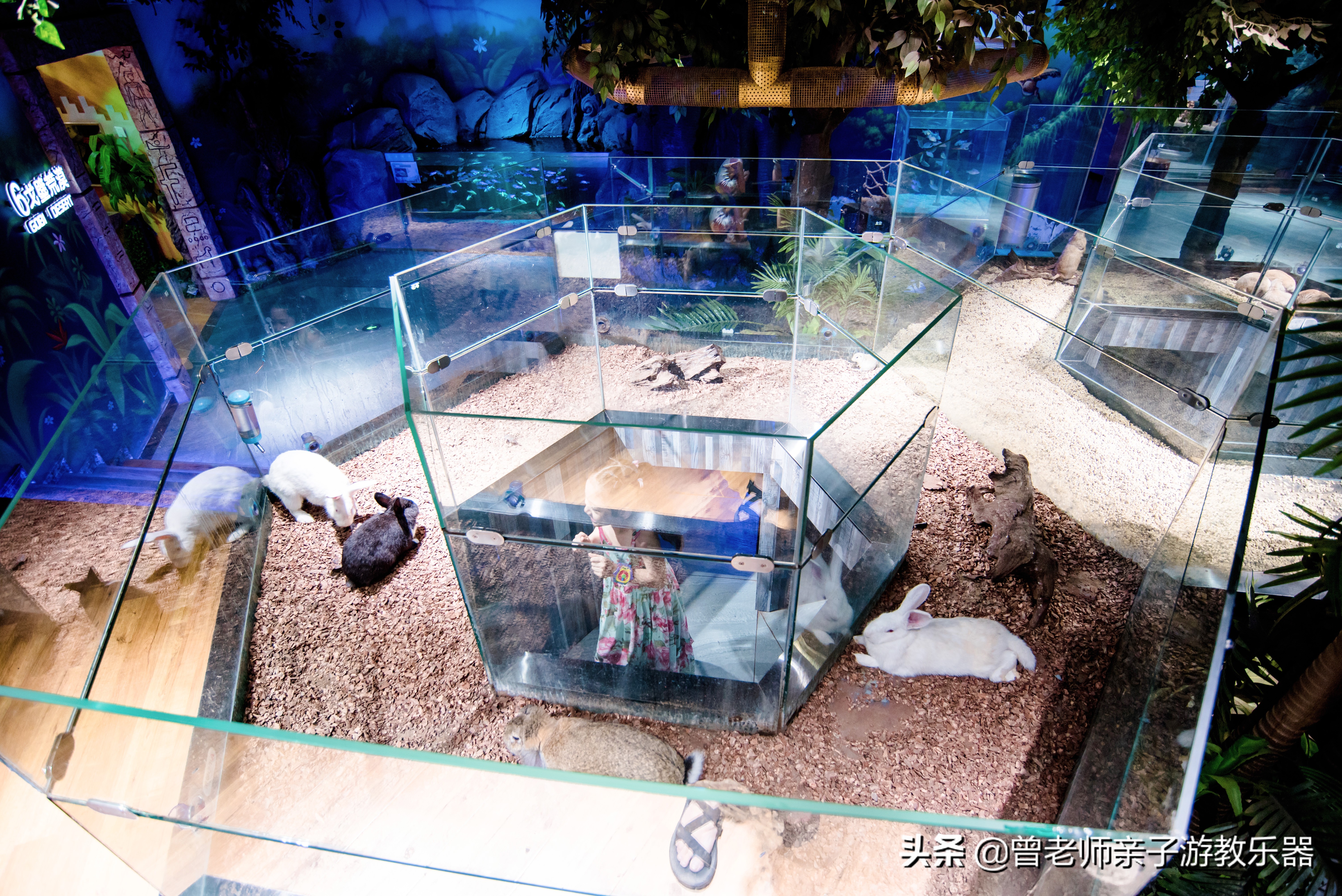 西安遛娃夏日,国庆西安周边2-3天溜娃