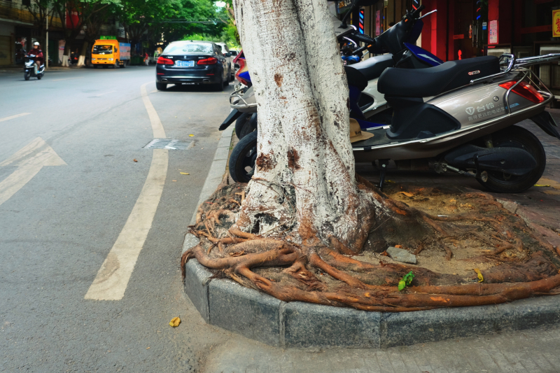 广东最没存在感的城市云浮,广东云浮是什么样的城市
