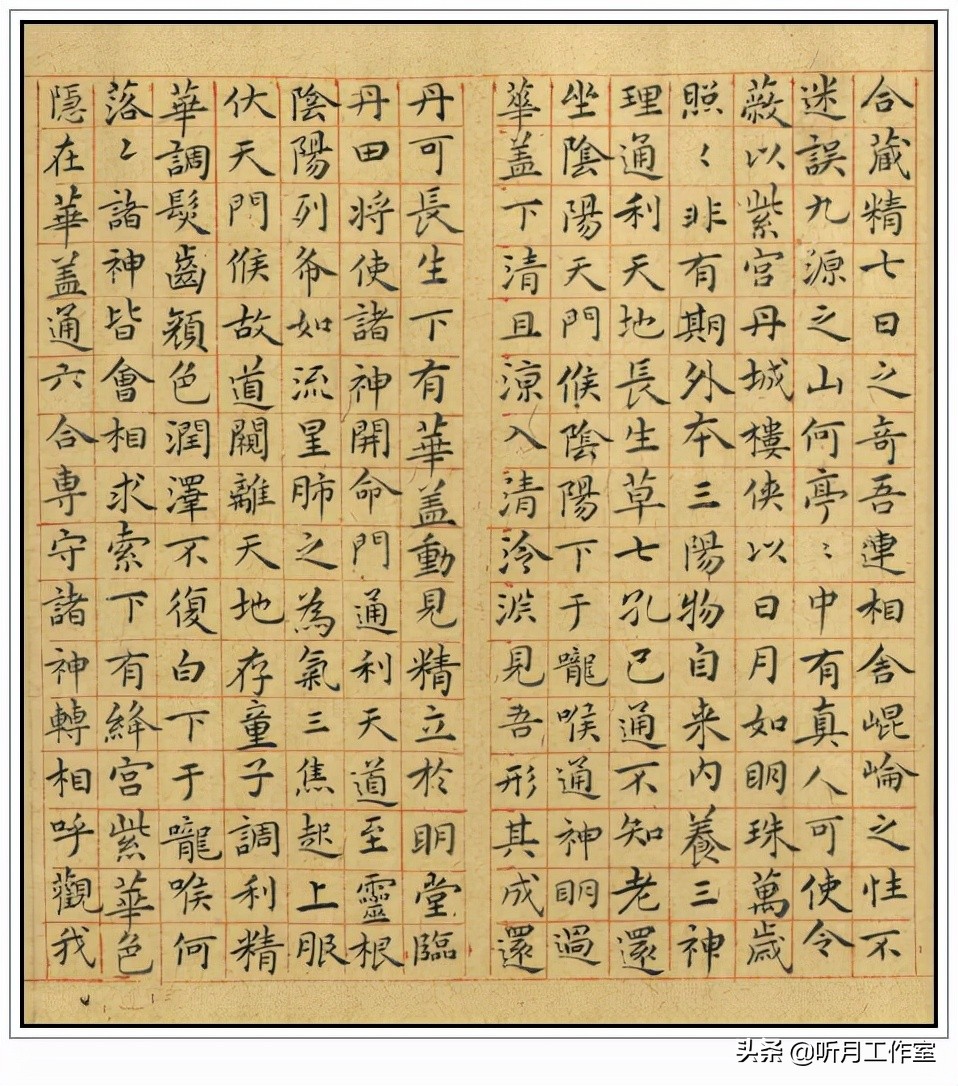 明朝祝允明草书前赤壁赋,明朝第一人祝允明书法