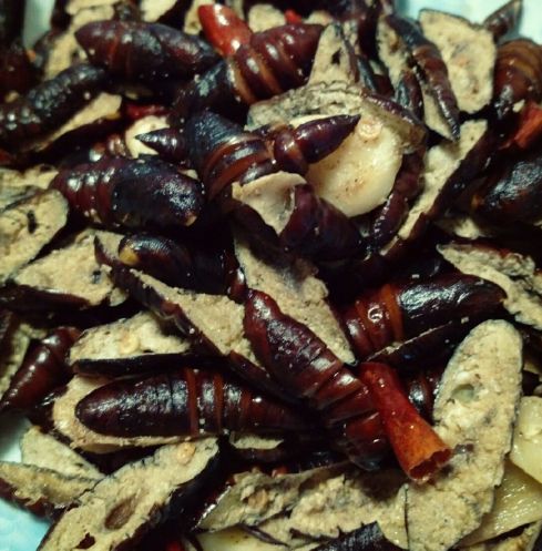 奇奇怪怪的美食零食,奇奇怪怪的美食图文