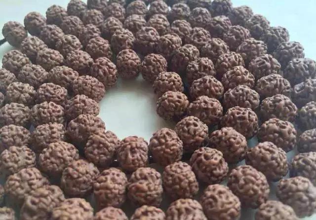 如何挑选一串好的小金刚菩提子,小金刚菩提最全纹路