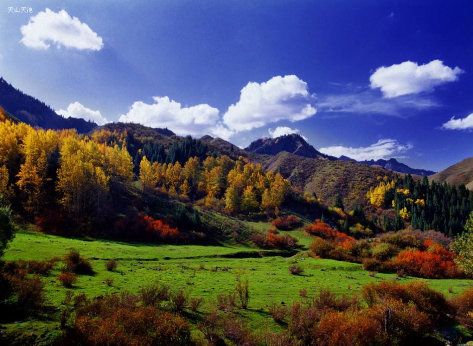 世界七大山系天山山脉,世界七大山系全图