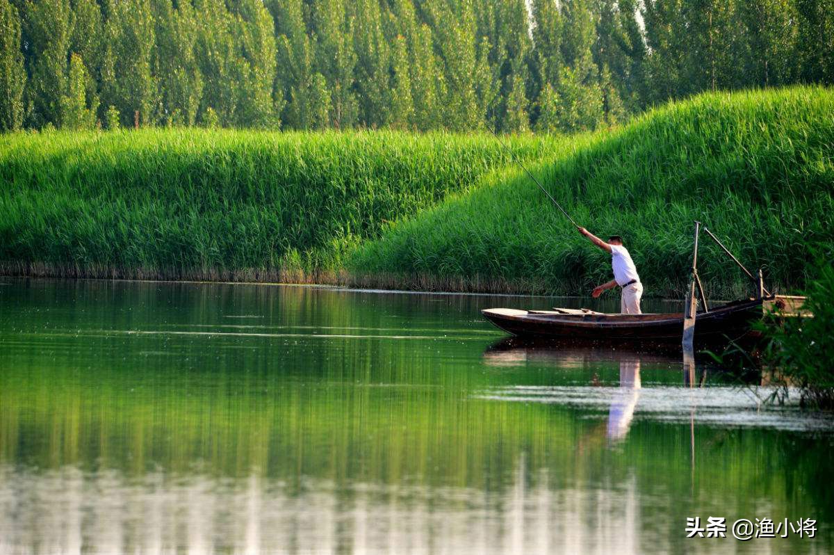 老坛玉米窝料打窝诱鱼,鲜玉米窝料饵料