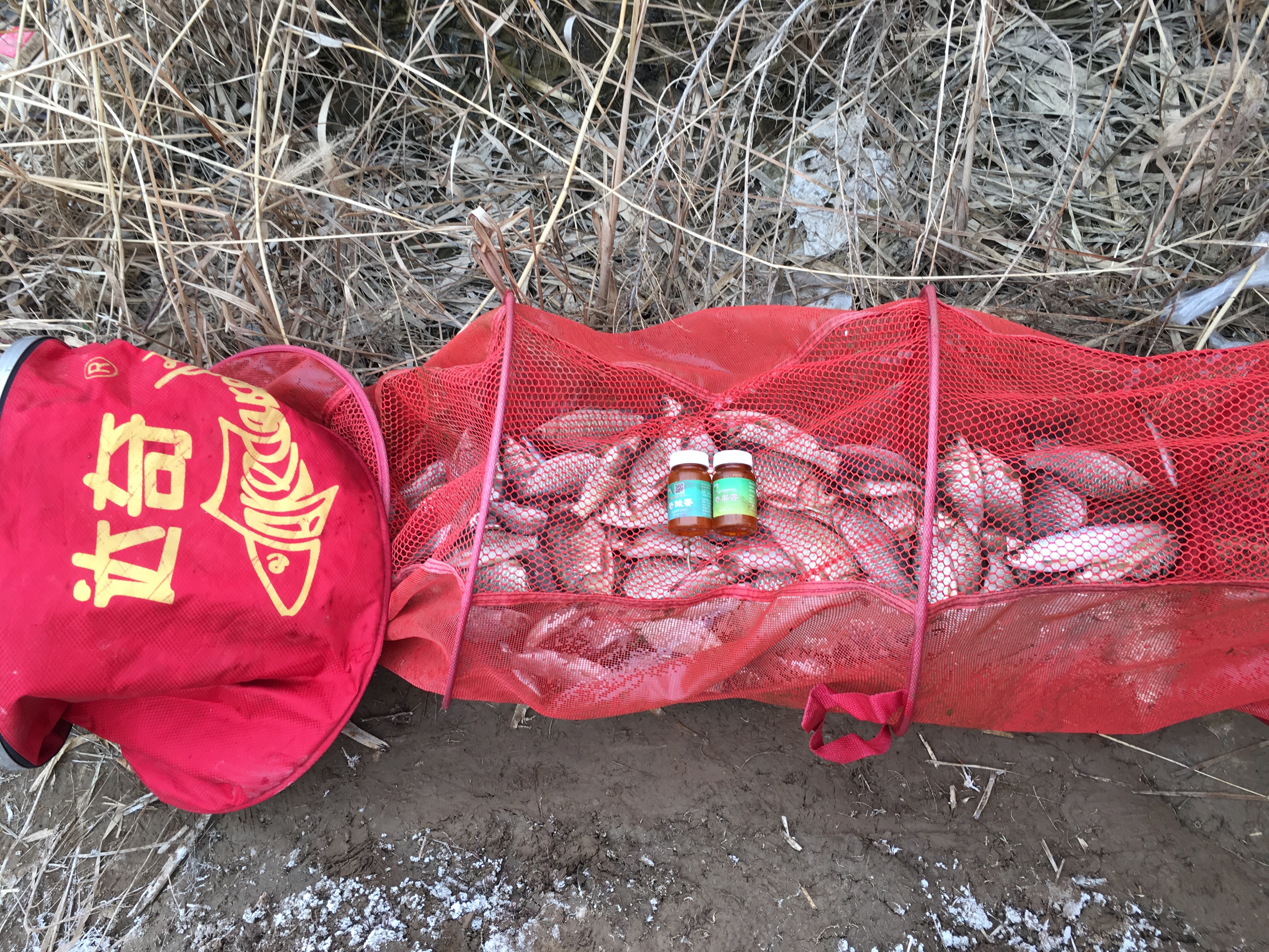 冬季垂钓鲫鱼如何避免闹小鱼,冬天野港刮风3级怎样钓鲫鱼