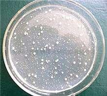 如何养水建立硝化系统,养水启示录硝化系统