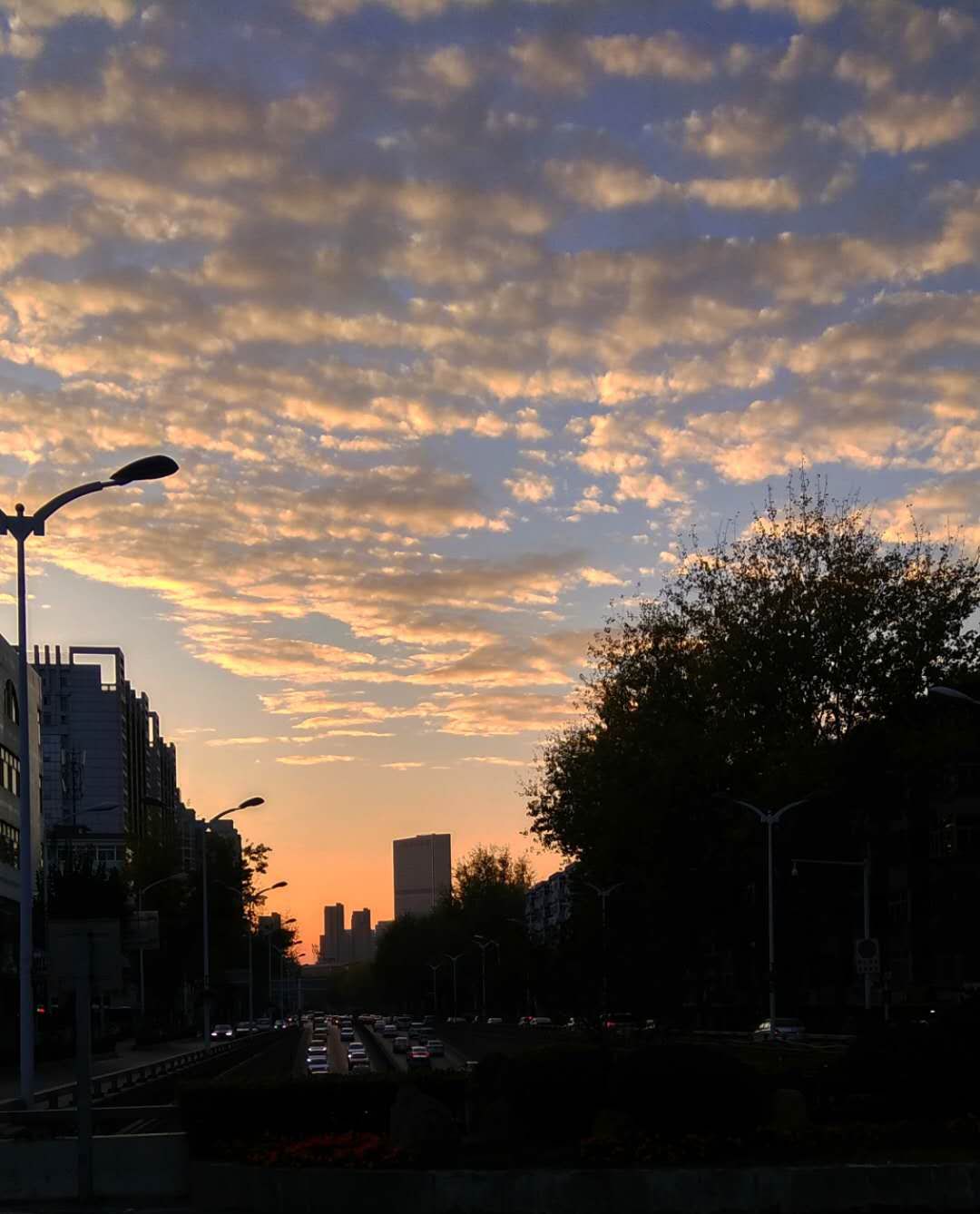 2019犯凶星的属相,2019年犯凶星的属相