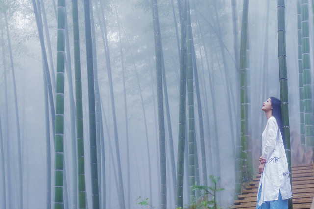 职业交易员期货实盘操作,最成功的期货交易员