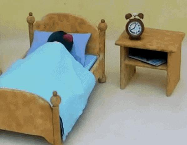 世界上最有诚信的企鹅,世界上最小的企鹅品种