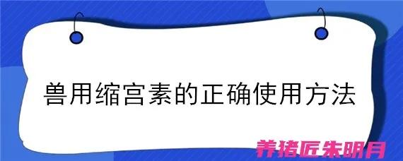 猪场用缩宫素有什么危害,缩宫素什么时候给猪用最好