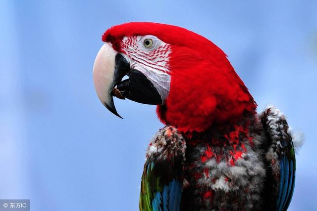 哲理小故事及感悟,40个哲理小故事500字