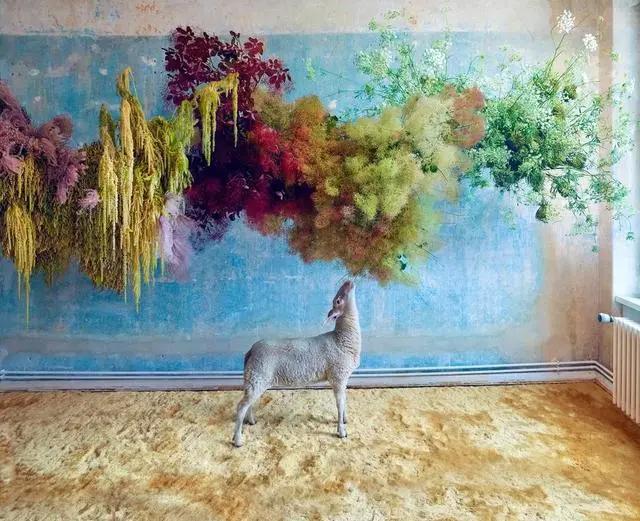 9平米花店,有4间铺面开花店怎样设计