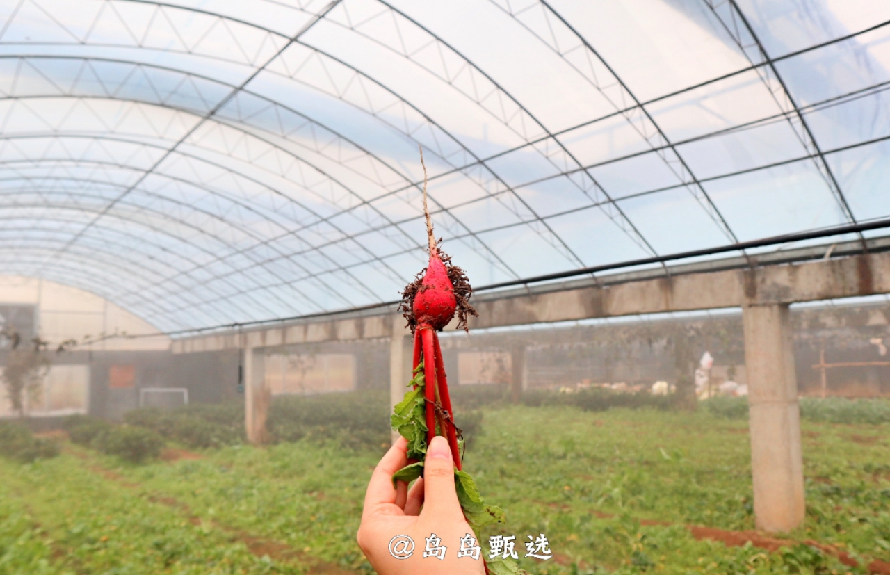 远离城市休闲的好地方,青岛郊区小众好去处