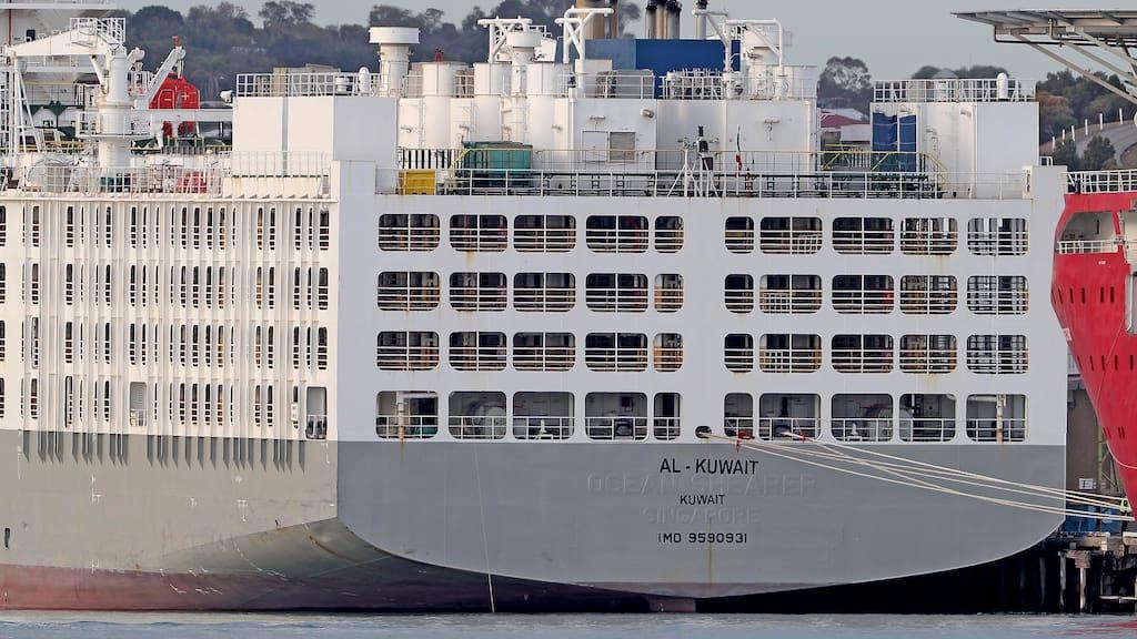 船员发生感染新冠,船员感染冠状病毒死亡