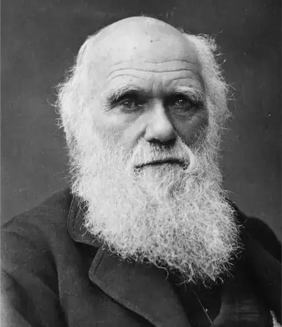 中国七成脱发人群为30岁以下,为什么年轻时不脱发到了30岁脱发