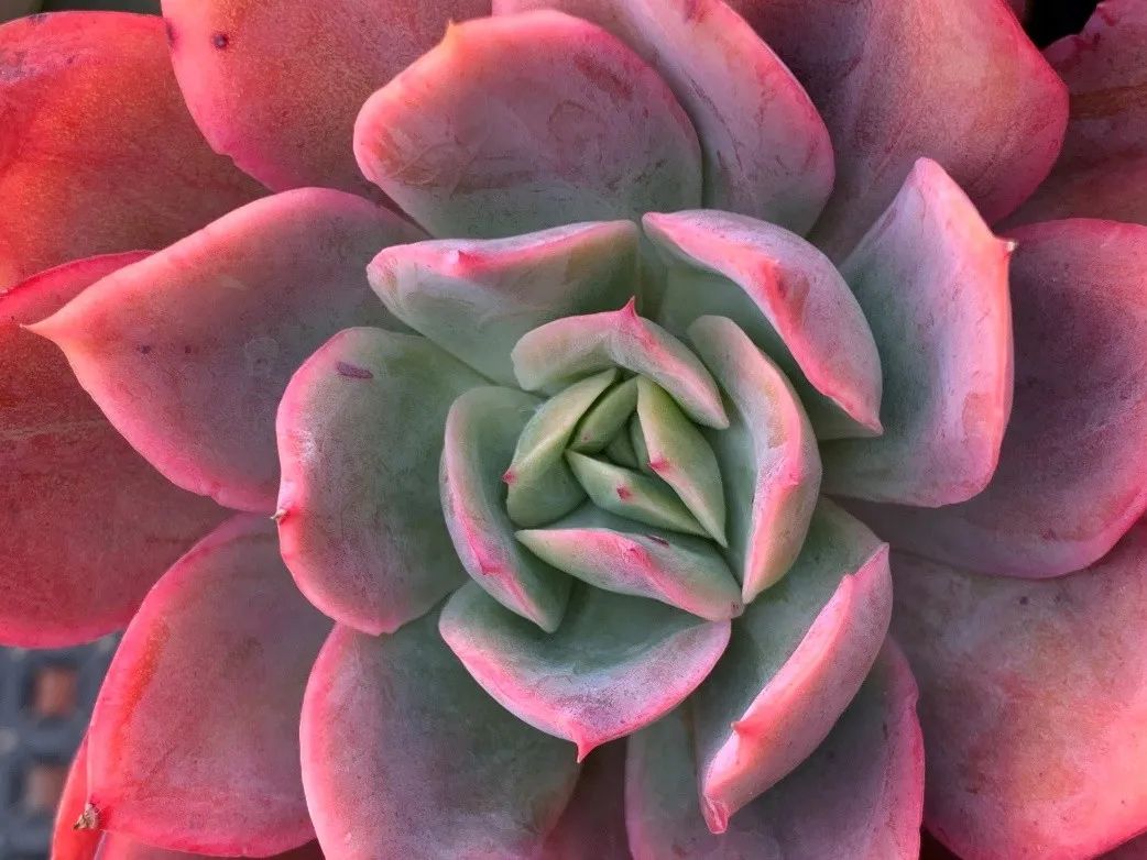 禁足的日子收获颇多,禁足