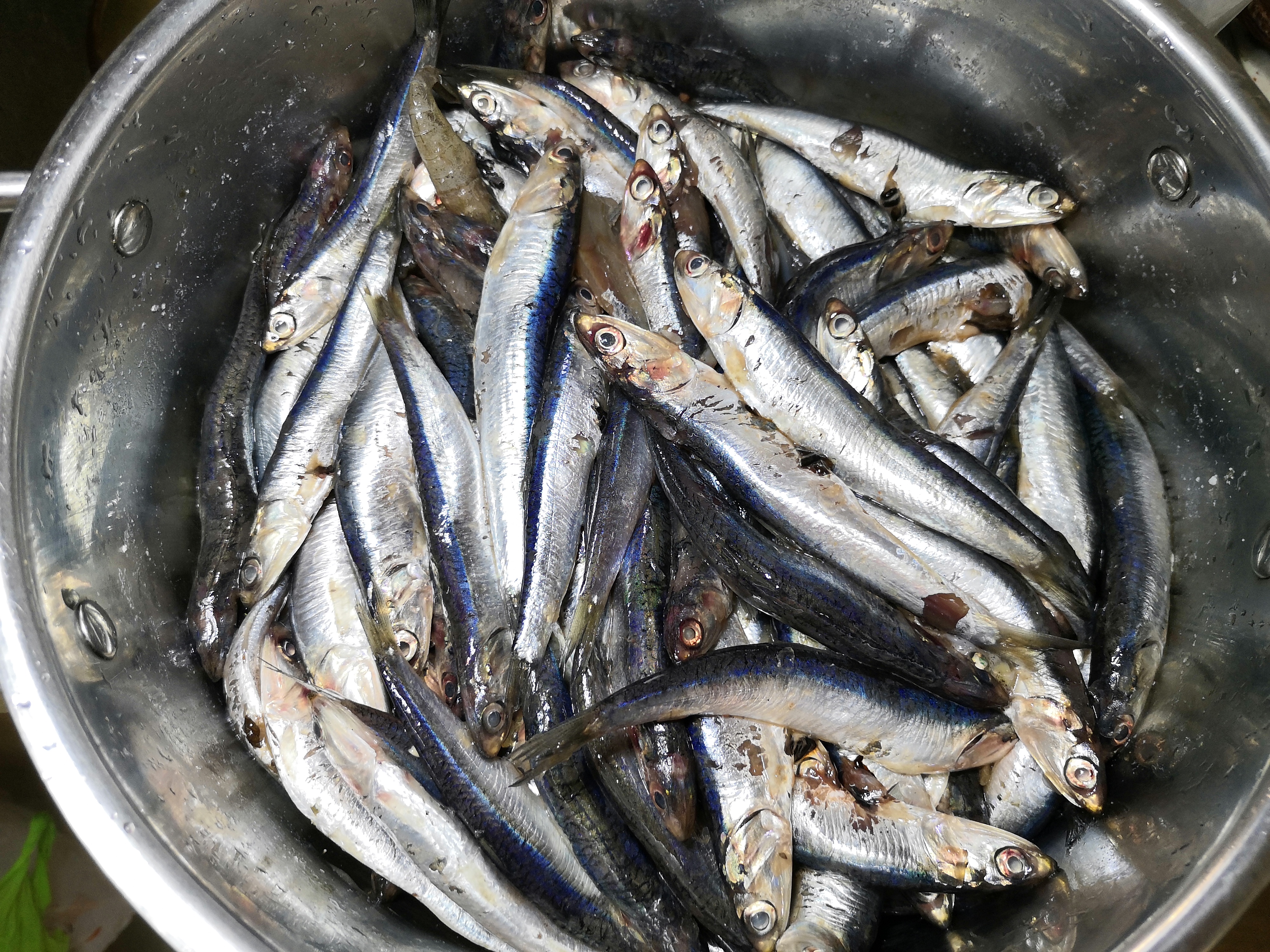 30年前的鱼干怎么做,渔民怎么晒鱼干