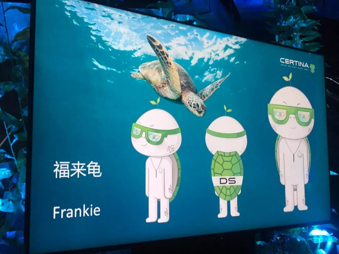 性价比高的石英潜水表,500米防水潜水表推荐