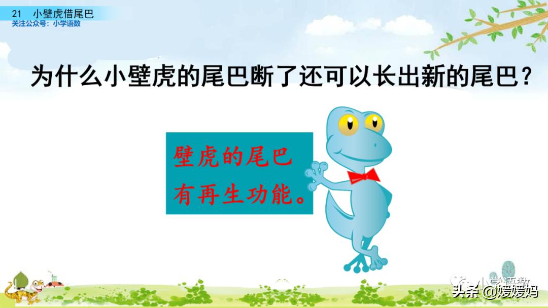 一年级小壁虎借尾巴原文图片,小壁虎借尾巴优质课一等奖