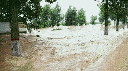 中到大雨+暴雨+大暴雨!河北发布最新暴雨蓝色预警,下班早点回家