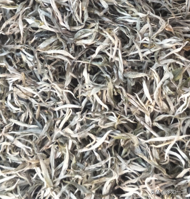 古六大茶山茶叶的特点,古六大茶山及茶的特点