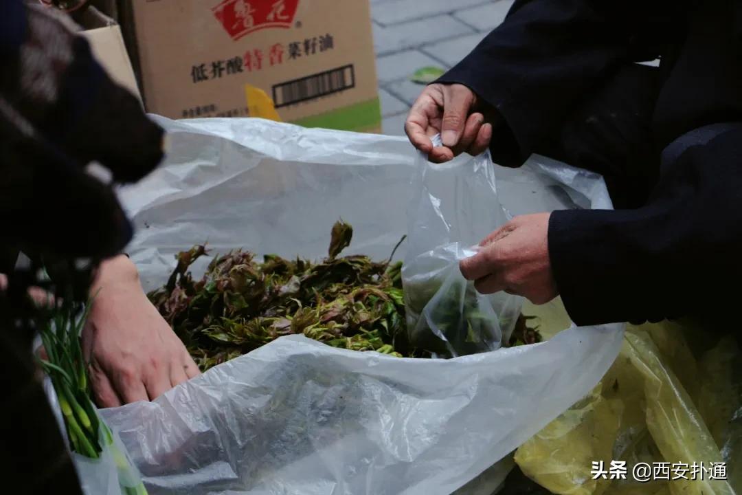 在西安,你一定要逛一次万寿路的早市