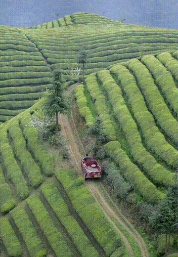 湖北小众古镇旅游推荐,湖北悠闲不累的旅游胜地