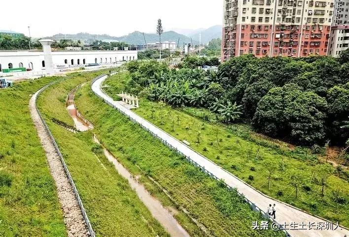 深圳民治名字的由来,深圳龙华所有地名