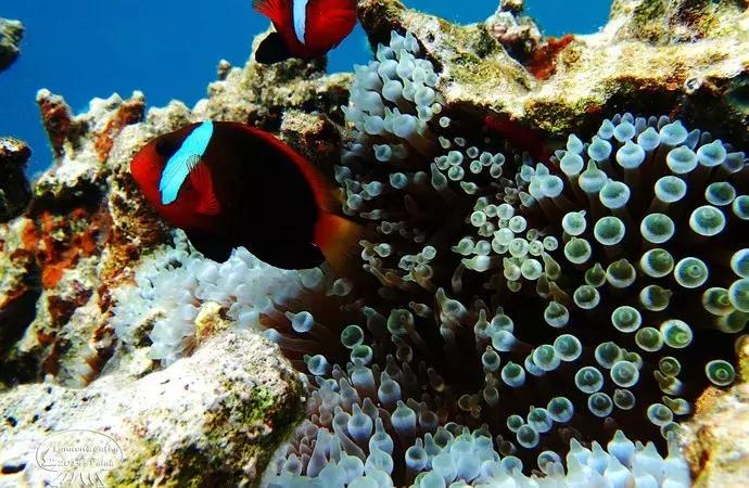 成都可以去的小岛,成都小岛旅游推荐路线攻略