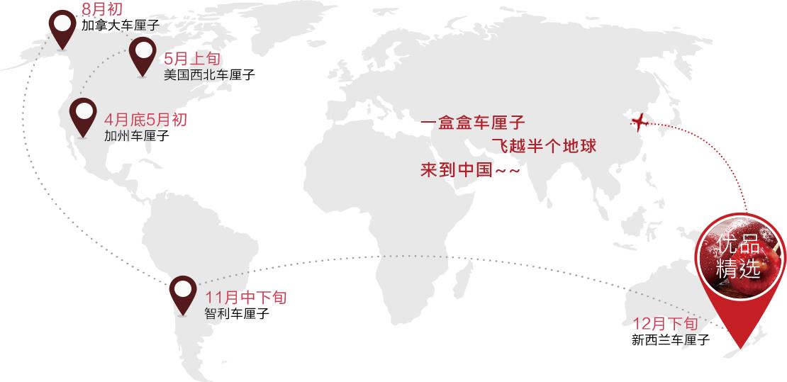 中国各省vs全球各国樱桃产量,智利樱桃出口超九成销往中国