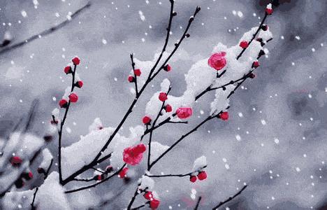 陈宝璐散文人生风景在路上,陈宝璐散文作家照片