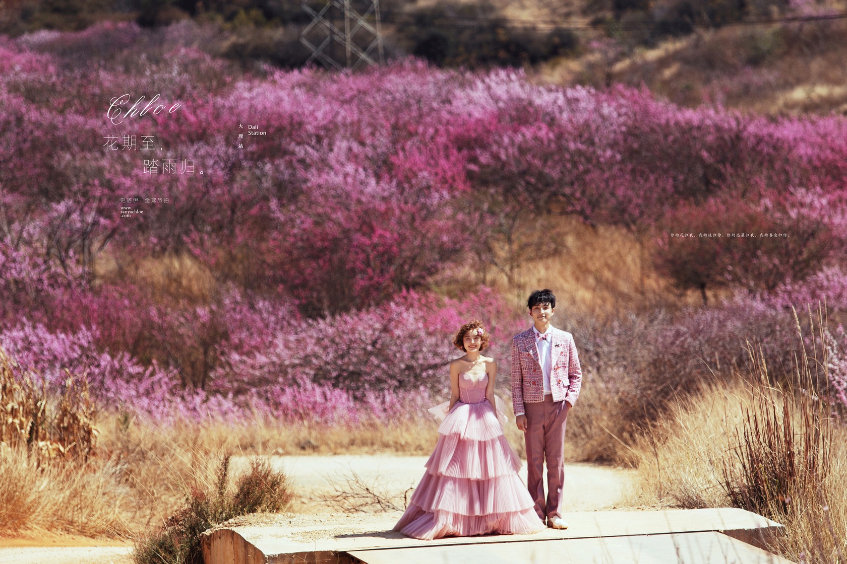 婚纱照风格推荐爱情,喜嫁风格婚纱照太好看了