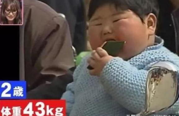 恒河猴实验与孩子教育 (恒河猴实验说明孩子对母亲的需要)