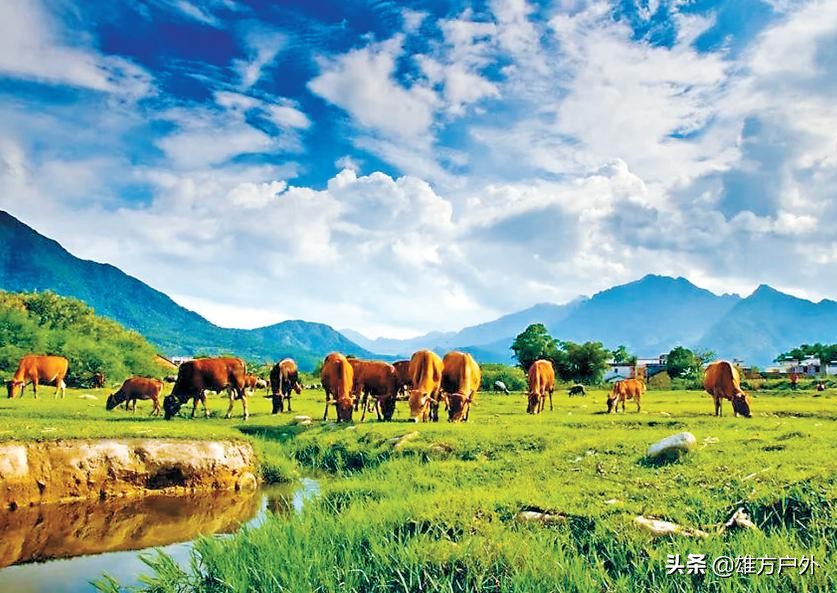 广东最美草原,藏在广东的八大草原