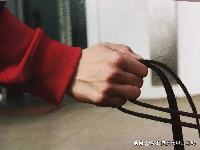 沈阳七星山马会攻略,沈阳七星山骑马攻略