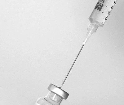 养了猫后会越来越讨厌猫吗,对猫毛狗毛过敏可以养什么宠物