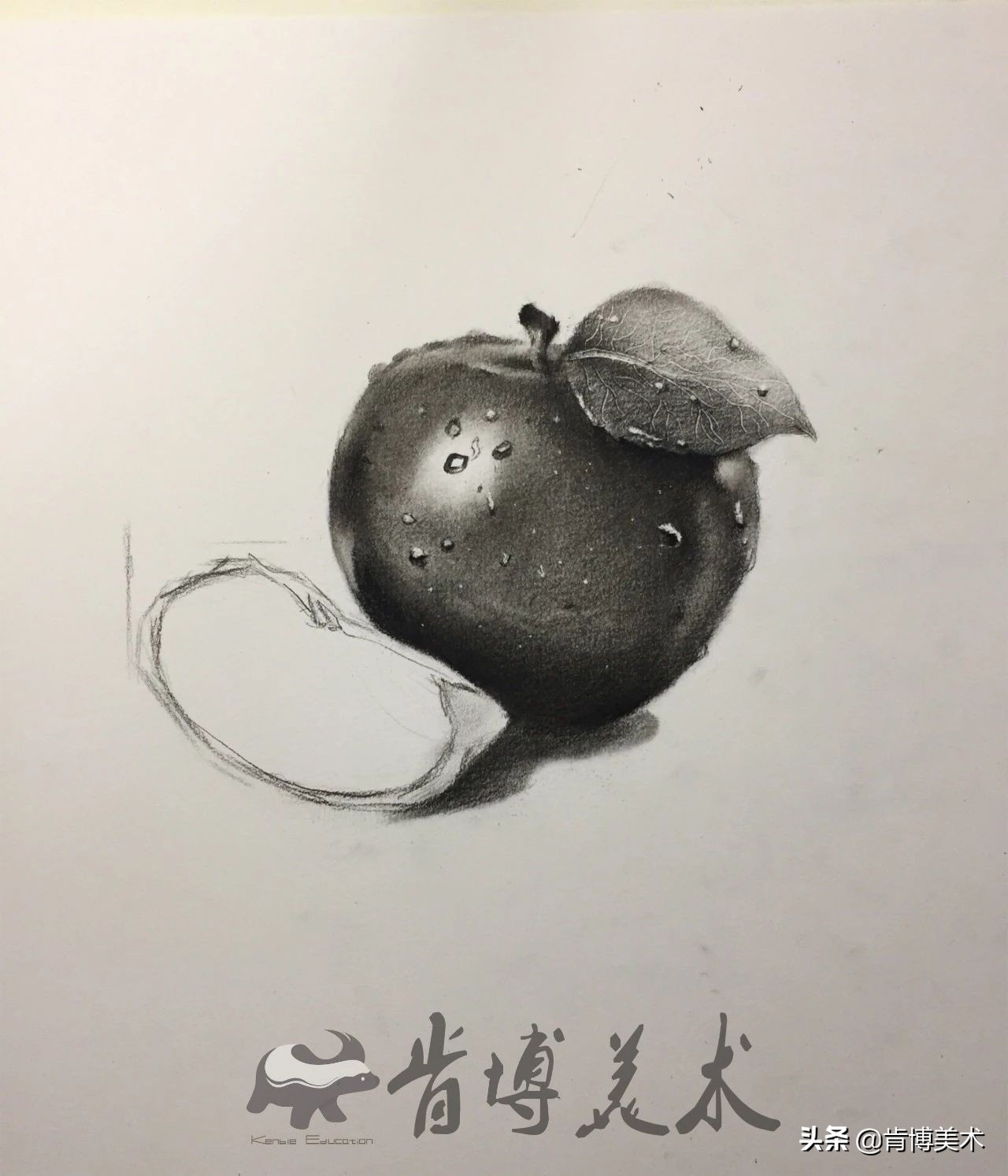 素描静物绘画技巧步骤图,素描静物作画的10个小技巧推荐