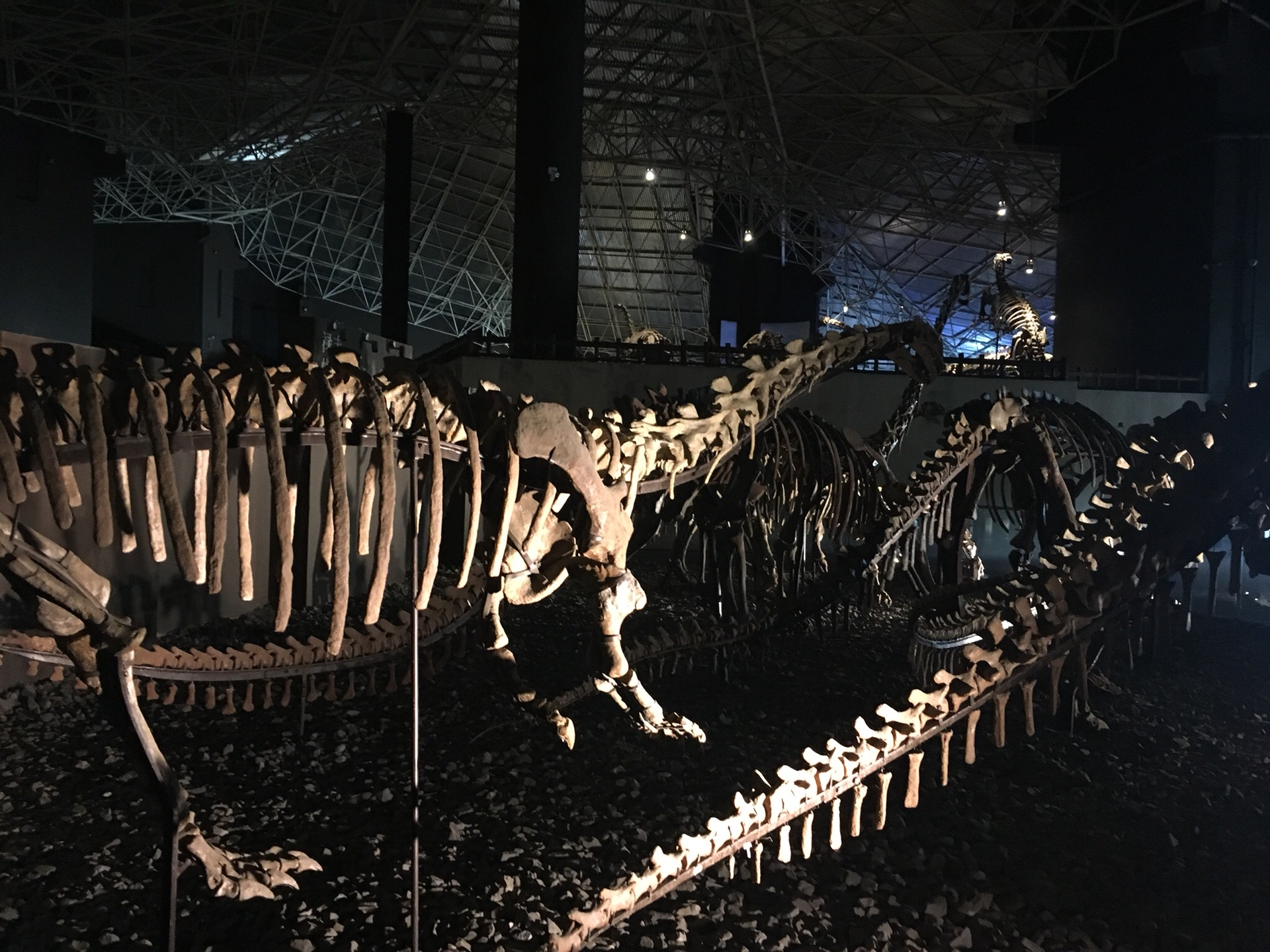 云南香格里拉自驾游攻略10天,昆明自驾丽江香格里拉5日游