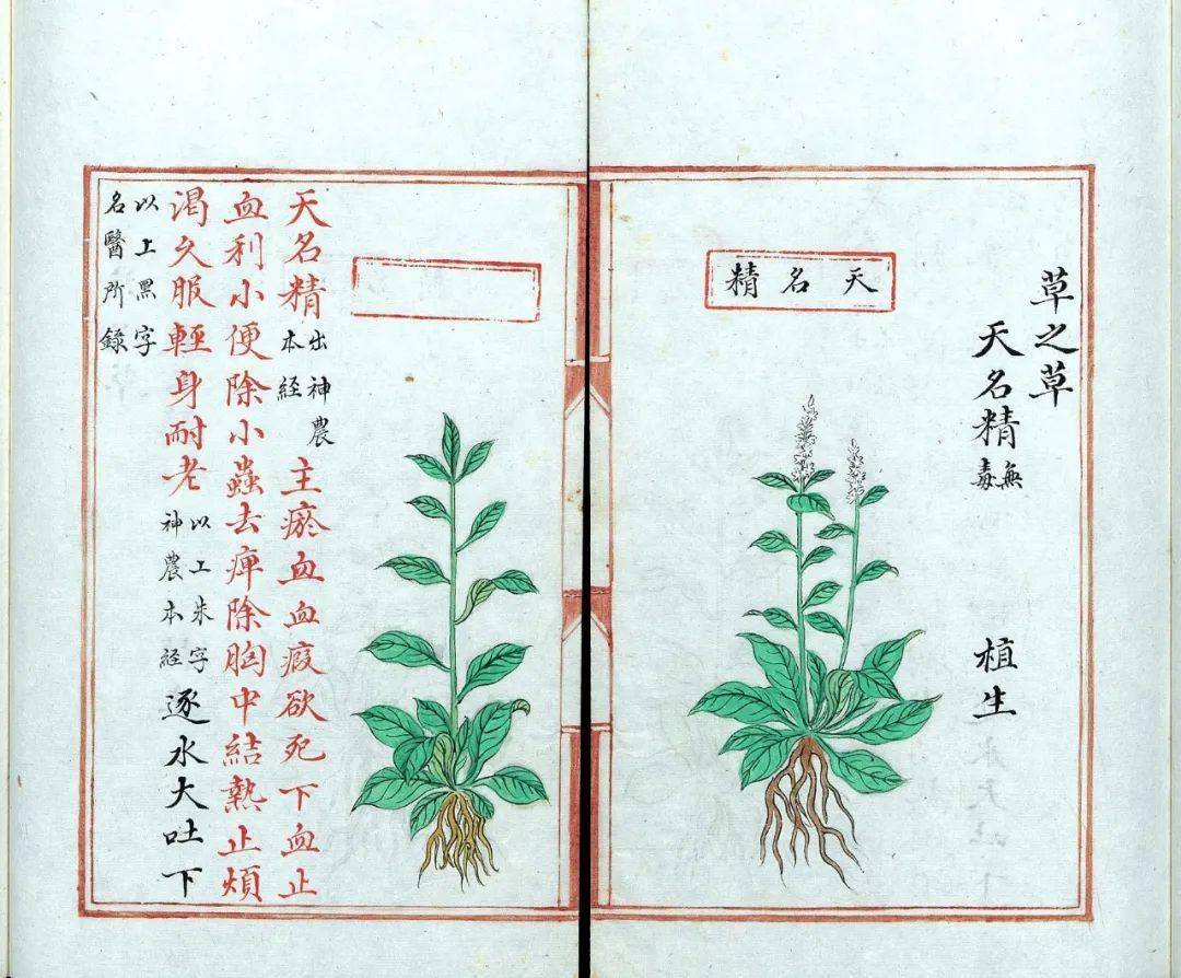 明朝害死2个皇帝的太医,明朝一个御医治死两位皇帝