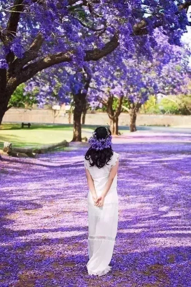 网络上90%的旅行攻略,都是用来坑人的!你被坑过吗?