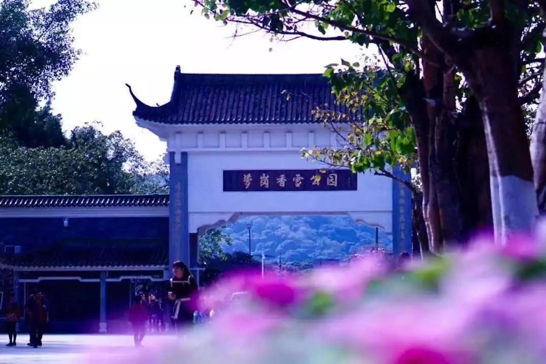 宝藏新公园周末好去处快来打卡,必打卡的宝藏公园