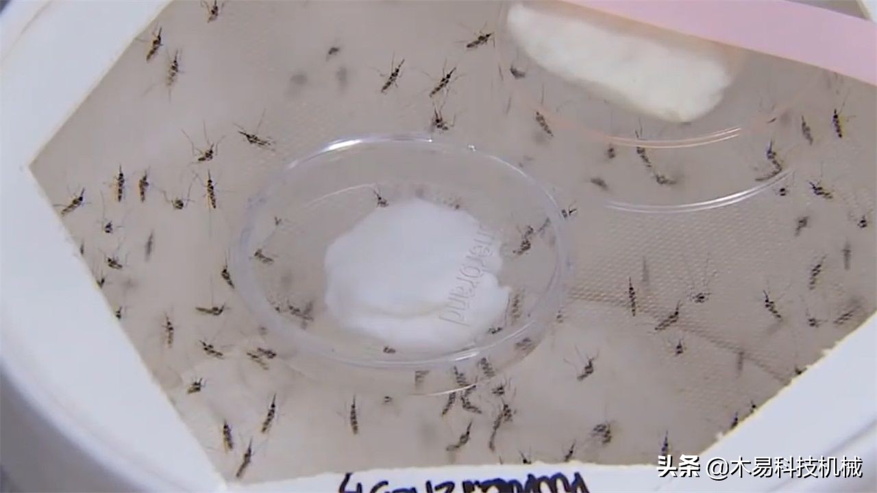 高科技灭蚊灭蟑螂小神器,自制灭蚊子神器第一名