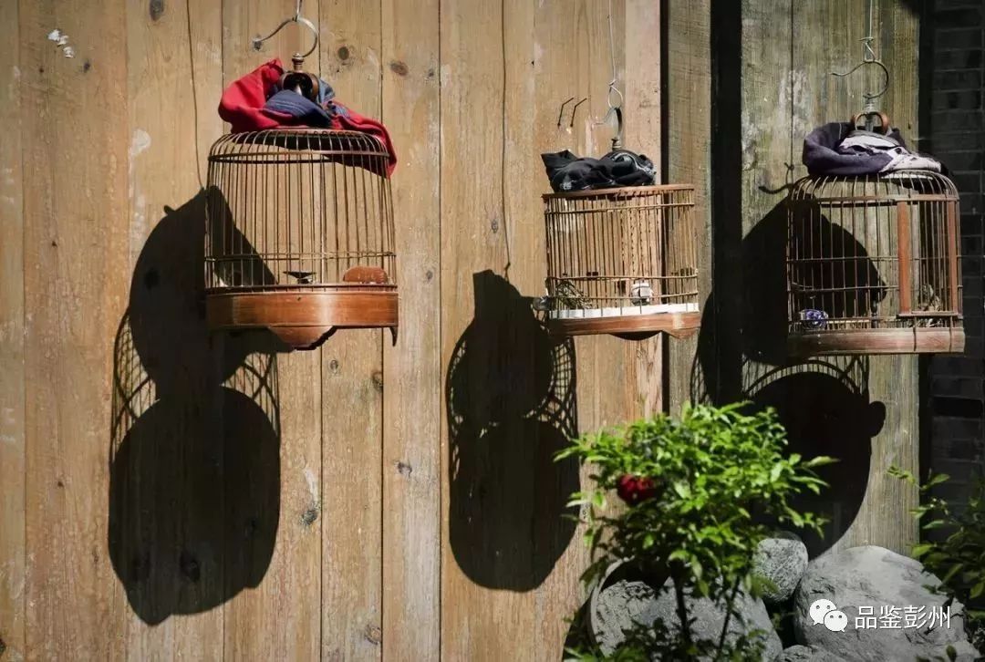 来彭州带你看海,冬天的彭州